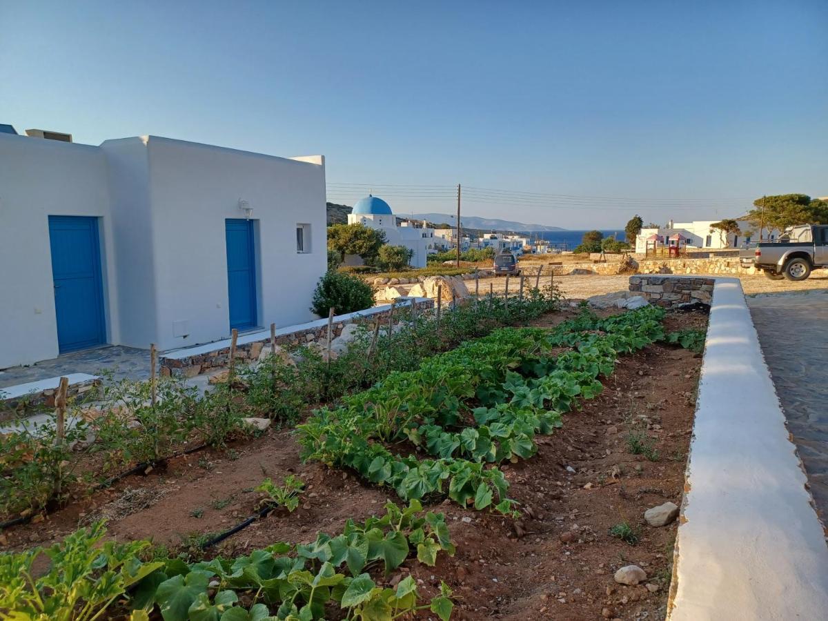 Taxiarchis Studios Agios Georgios  Exteriér fotografie